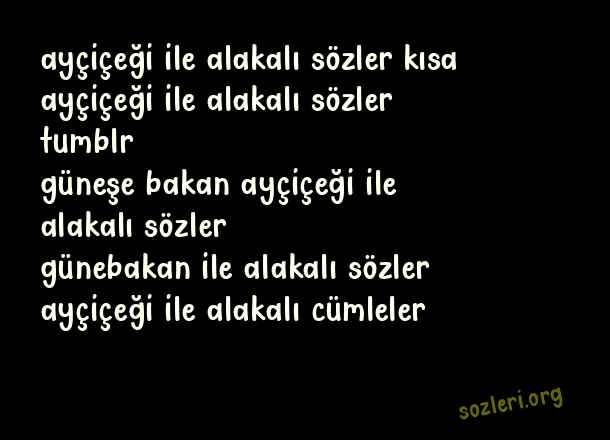 Ayçiçeği
