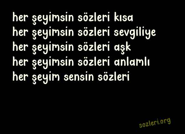 Her Şeyimsin