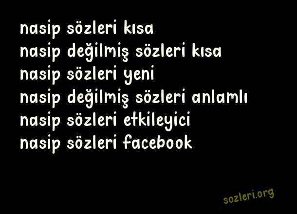 Nasip