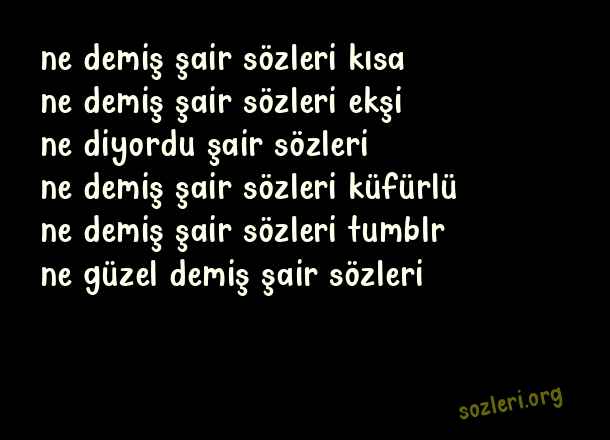Ne Demiş Şair