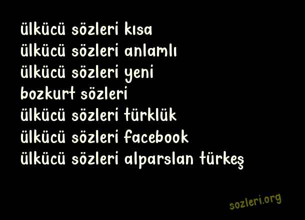Ülkücü