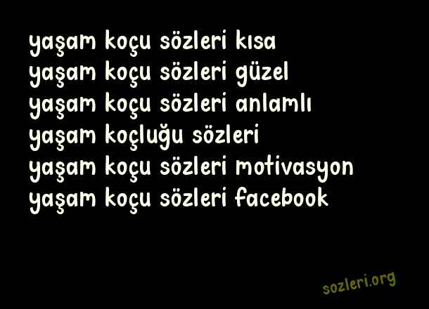 Yaşam Koçu
