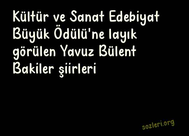 Yavuz Bülent Bakiler
